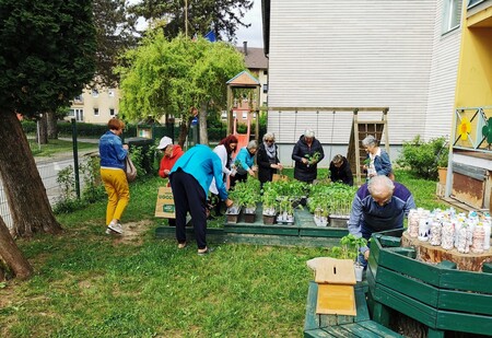Zelenjavne sadike in projekt »Varno in spodbudno učno okolje« (2)